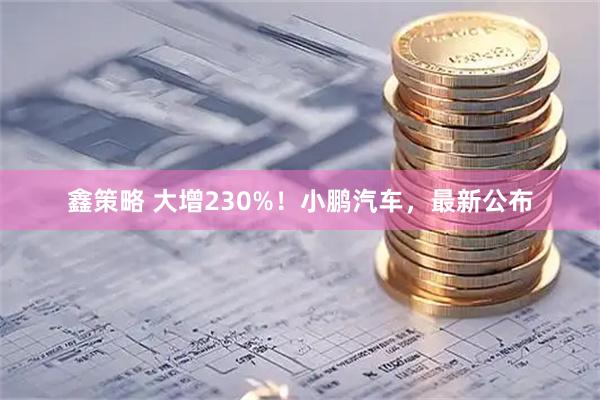鑫策略 大增230%！小鹏汽车，最新公布