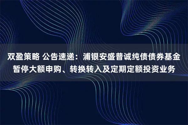 双盈策略 公告速递：浦银安盛普诚纯债债券基金暂停大额申购、转换转入及定期定额投资业务
