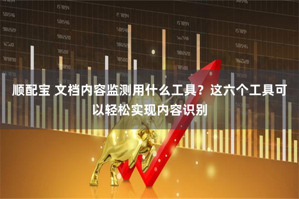 顺配宝 文档内容监测用什么工具？这六个工具可以轻松实现内容识别