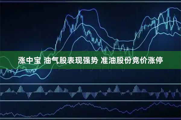 涨中宝 油气股表现强势 准油股份竞价涨停