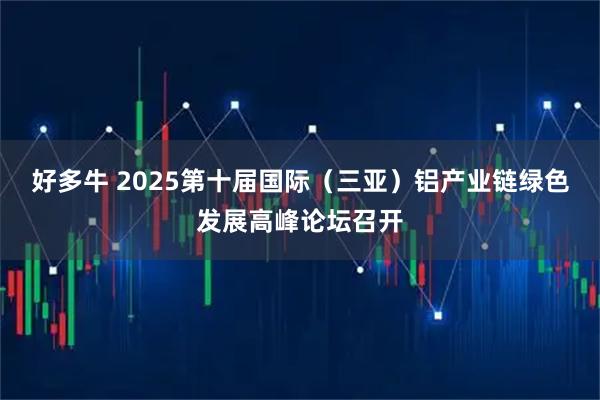 好多牛 2025第十届国际（三亚）铝产业链绿色发展高峰论坛召开